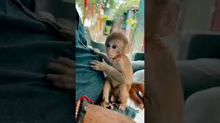 Maa Kafi Kast me hai Or Apne Bache ke liye 🥲🥲😱😱 viral short [upl. by Ahsenhoj]