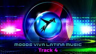 Viva LatinaTrack 4 The Best Latin Electronic Rhythms [upl. by Etnoek]