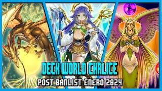 Deck World Chalice Enero 2024 Replays and Decklist  EdoPro [upl. by Kopp844]