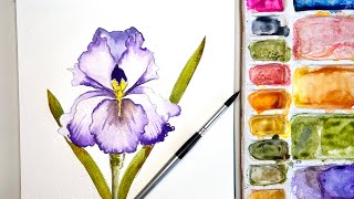 YOU WONT BELIEVE you painted this Beautiful watercolor IRIS and sketched it yourself [upl. by Tarabar]