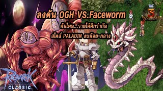 🔴ROC OGH vs Faceworm ดันไหนรายได้ดีกว่ากัน สไสด์ PALDIN งบน้อยกลาง EP99  Ragnarok Classic [upl. by Geddes]