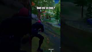 Quel est ce bug fortnite [upl. by Amor262]