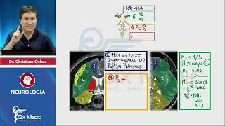 NEUROLOGÍA Esquemas de repaso Qx Medic 2023 [upl. by Sesilu]