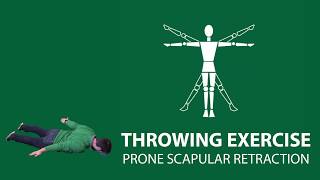 Throwing Exercise Prone Scapular Retraction [upl. by Anneg]