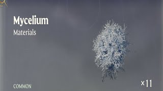 How to get Mycelium Enshrouded [upl. by Eleon354]