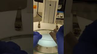 Cutting needle for microinjection of zebrafish embryos [upl. by Ellak]