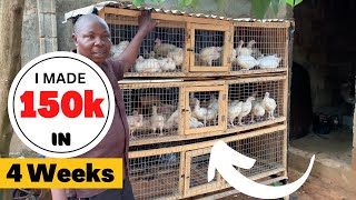 How I Made N150000 in 4 Weeks Raising 200 Broilers [upl. by Fran]