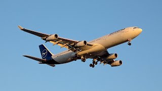 4K Star Alliance Oneworld and SkyTeam  Planespotting at OHare International Airport ORD [upl. by Pegg]