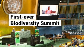 UN holds firstever biodiversity summit [upl. by Hahnert]