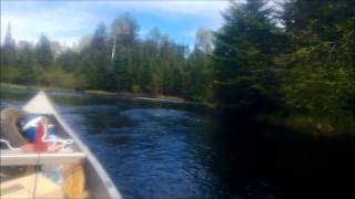 Whiteface Reservoir  Bum Creek Tributary June 3 2013 [upl. by Steinberg]