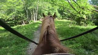 Pipestem State Park  2 Hour Horseback Riding Trip First Time Rider [upl. by Eadnus987]