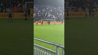 goal venezia 22 gol su punizione 🧡🖤💚 [upl. by Katie407]