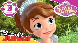 Sofia the First  I Am On Your Side Song  Disney Junior UK [upl. by Nilatak465]