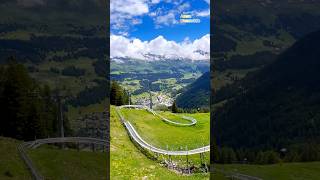 Longest Toboggan Zipline In Churwalden Switzerland 🇨🇭 follow for more daily shorts 🇨🇭 [upl. by Akiras178]