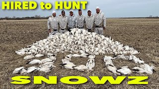 6 Hunters 300 Snows  Hired to Hunt Season 8 1  Goose Hunting Duck Hunting Ongaros in ALBERTA [upl. by Matthaus]