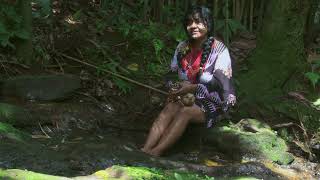 Jardins do Sagrado  A cobra protetora das pedras brancas  com Toá Canynã Pankararu [upl. by Laehplar]