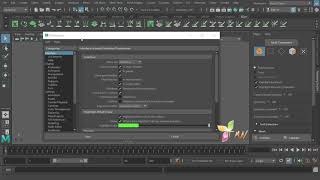 Animation preferences or Settings preferences in Maya 2020 [upl. by Adel994]