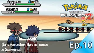 ¡Combatimos junto a Matís POKEMON BLANCO 2 Cutrigameplay sin comentarios [upl. by Nyladnewg]