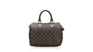 Louis Vuitton Damier Ebene Speedy 25 [upl. by Gotcher]