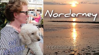 Norderney Impressionen eine Woche im August 2024 [upl. by Alejandro]