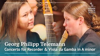 Georg Philipp Telemann Concerto for Recorder and Viola da Gamba in A minor TWV 52a1 [upl. by Brad]