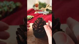 Chocoladedennenappels ‘chocolate pine cones’ recept  shorts  Allerhande [upl. by Naerol555]