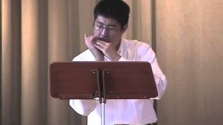 Concerto for Harmonica 1st mov Spivakovsky [upl. by Ennayhs]