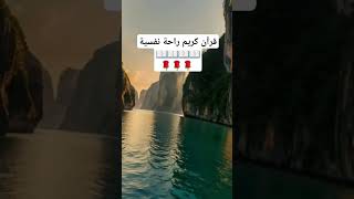 قرآنكريمراحةنفسية تلاوةخاشعة تلاوةهادئة [upl. by Kciredorb]