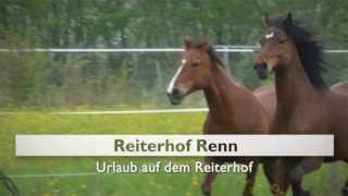 Reiten in Rheinland Pfalz Ferienwohnung Limburg an der Lahn Reiterhof Renn [upl. by Asia357]