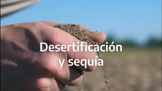 Día Mundial de Lucha contra la Desertificación y la Sequía [upl. by Kciderf952]