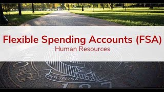 Flexible Spending Accounts [upl. by Anead]