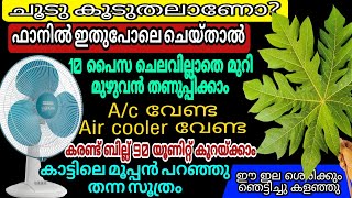 ചൂടിലും തണുത്ത് വിറച്ചു കിടന്നുറങ്ങാം കരണ്ട് ബില്ല് പേടിക്കേണ്ട ഈ ഇല ഇങ്ങനെ ഒരു ഉപയോഗംPapaya Leaf [upl. by Bacchus]