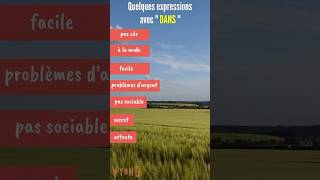 Expressions avec quot DANSquot Vocabulaire en français facile learnfrench [upl. by Perlman135]