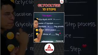 Glycolysis Explained  The Energy Powerhouse of Cells shorts glycolysis cellenergy glucose ATP [upl. by Mattson]