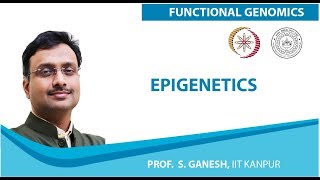 Epigenetics [upl. by Behnken]