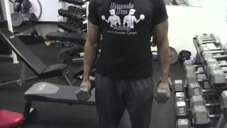 How to Do Dumbbell Supinated Curls [upl. by Eyllib]