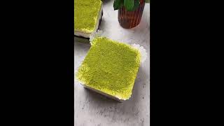 This is a matcha tiramisu recipe matcha lovers [upl. by Hummel]