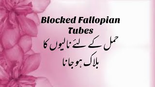 Blocked Fallopian Tubes  Causes  Symptoms  Diagnosis And Treatment Of Blocked Fallopian Tubes [upl. by Alie911]