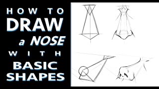 How to Draw A Nose Using Basic Shapes  Tutorial [upl. by Thier295]