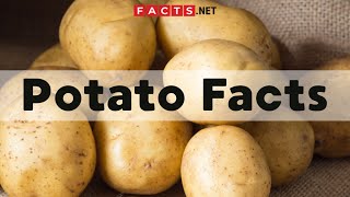 Surprising Potato Facts About This Important Staple Food [upl. by Nairadas]