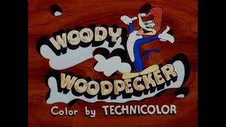 Woody Woodpecker Theme Song 8bit Version Recreated [upl. by Strawn]