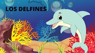 LOS DELFINES PARA NIÑOS TODO SOBRE LOS DELFINES APRENDE SOBRE LOS DELFINES EN ESPAÑOL [upl. by Ecaidnac]