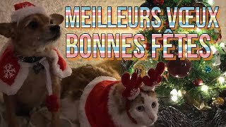 Bonnes Fêtes Meilleurs Vœux Avec Giggy et Frimousse [upl. by Annaitat]