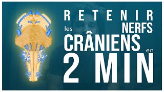 RETENIR les NERFS CRÂNIENS en moins de 2 min 🧠 [upl. by Assital756]