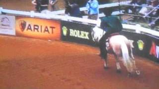 2010 World Equestrian Games Reining  Joao Felipe Lacerda Brazil 92610 [upl. by Lenes]