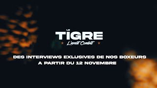 Le Tigre  Lavant Combat  Teaser TF8 [upl. by Nilloc]