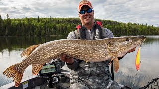 Lake Nipigon Pike Fishing  InDepth Outdoors TV Season 13 Episode 14 [upl. by Alel695]