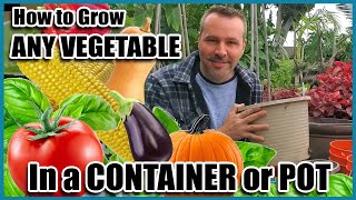 How to Grow Vegetables in Containers  Container Gardening  Self Sufficient Sunday [upl. by Nanreh]