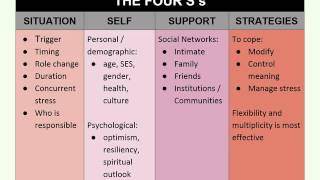 Schlossberg Transitions Theory [upl. by Neela716]