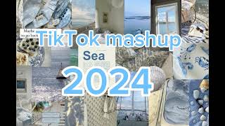 TikTok mashup 2024NOT CLEANtiktokmashup dances viral song 2024 mashup edit frypシ [upl. by Fisken508]